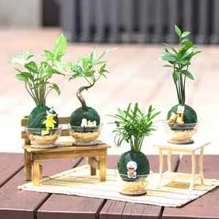 卡通四入正方形小掛勾 可愛繽紛動物萬用無痕貼掛勾 歷史價格詳細信息