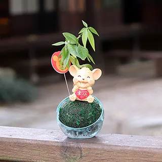 【迎光】開運綠苔玉-火鶴花 歷史價格詳細信息