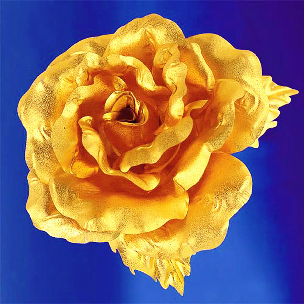 玫瑰花胸針設計感小眾高檔女2022年新款扣子防走光可愛日系按扣式-沐陽家居 歷史價格詳細信息