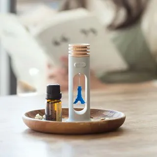 Bone / 搖搖擴香木 Swing Diffuser - 忍者金賀 歷史價格詳細信息