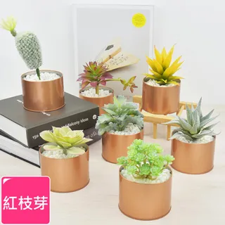 【Meric Garden】北歐風格居家裝飾高仿真大型景觀植栽擺設盆栽（扇型仙人掌） 歷史價格詳細信息