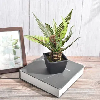 【Meric Garden】仿真草皮可移動拼接地板/卡扣地板/排水踏板_2入/組 歷史價格詳細信息