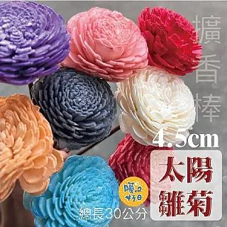 索拉花必備寶典~初學索拉花入門X花藝迷必備！ 歷史價格詳細信息