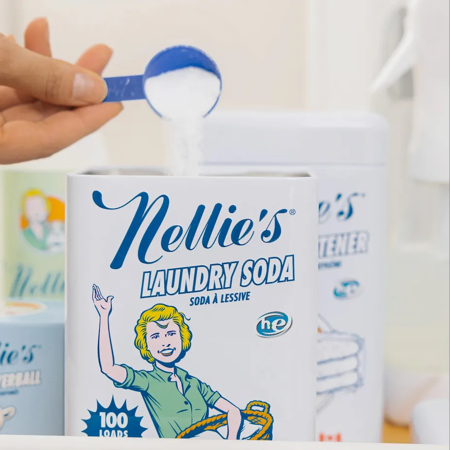 Nellie Belle【禮筑外文書店】(精裝)[79折] 歷史價格詳細信息