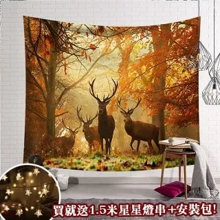 半島良品 贈星星燈-佈置裝飾掛布掛毯牆面布背景布-粉色仙人掌 歷史價格詳細信息