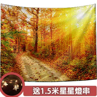 半島良品 贈星星燈-佈置裝飾掛布掛毯牆面布背景布-粉色仙人掌 歷史價格詳細信息