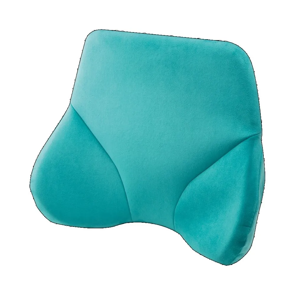 EXGEL THE OWL 貓頭鷹進階款背墊 日本製 (多色可選) 歷史價格詳細信息