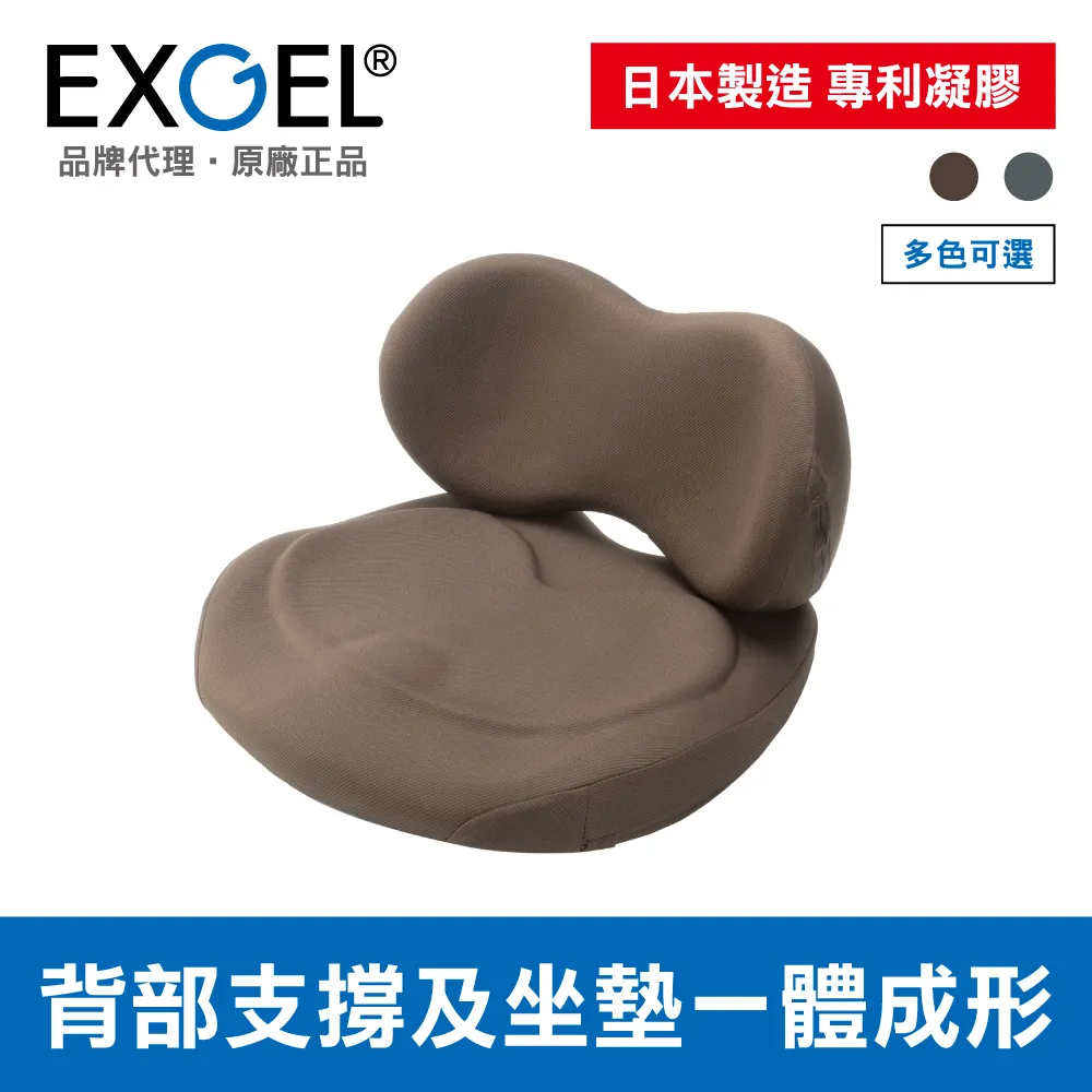 EXGEL 背部支撐旗艦版坐墊 日本製 (多色可選) 歷史價格詳細信息