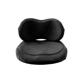 EXGEL 背部支撐旗艦版坐墊 日本製 (多色可選) 歷史價格詳細信息