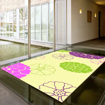 范登伯格-潔光 細紗亮澤立體長毛地毯-共三色-100x140cm 歷史價格詳細信息