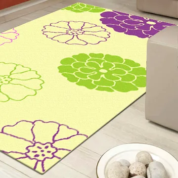 范登伯格-潔光 細紗亮澤立體長毛地毯-共三色-100x140cm 歷史價格詳細信息