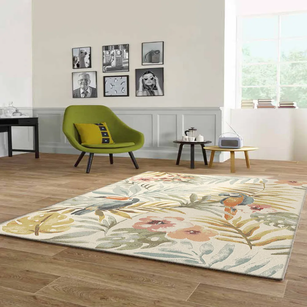 【范登伯格】歐斯特 都會時尚進口床邊毯 玄關墊 地墊-飛揚 (80x150cm) 歷史價格詳細信息