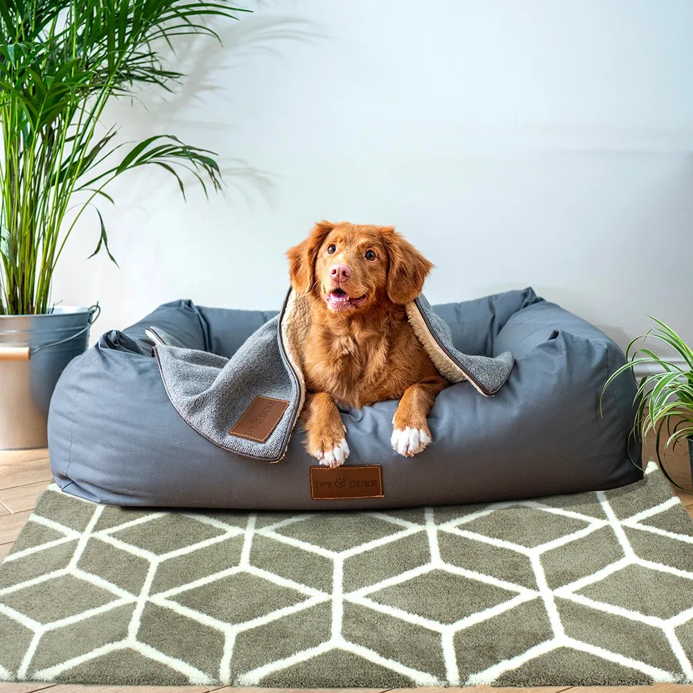 【范登伯格】比利時 Prior簡約地毯-水晶(200x290cm/共兩色) 歷史價格詳細信息