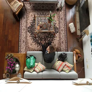 范登伯格 克拉瑪高密度皇室風地毯-富麗(米款)240x340cm 歷史價格詳細信息