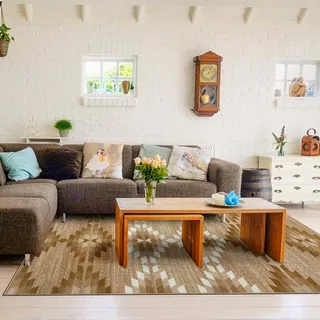 比利時Shiraz 地毯-黑與白(波紋160×230cm) 歷史價格詳細信息