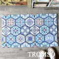 TROMSO 北歐圈絲門口刮泥地墊-里斯本花磚 免運費 現貨 廠商直送 歷史價格詳細信息