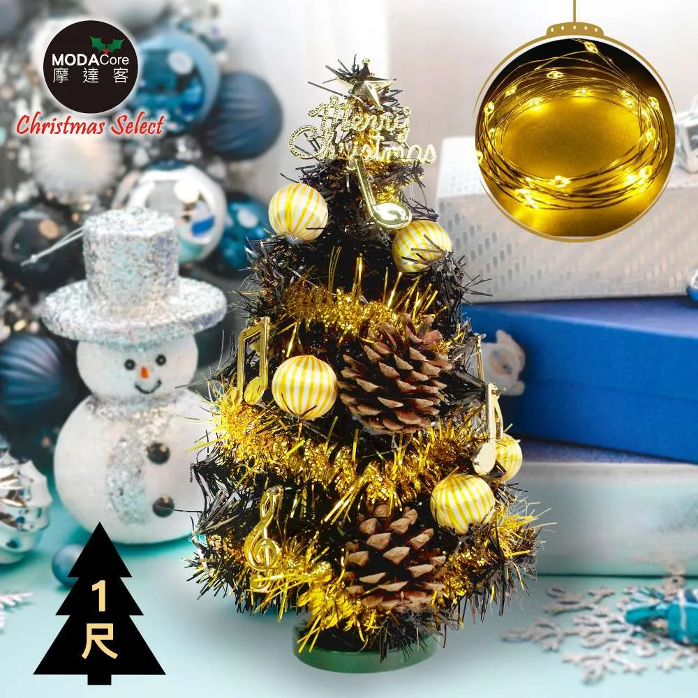 聖誕燈裝飾燈LED20燈珍珠燈造型燈(彩色光)(插電式/自動雙色雙閃) 歷史價格詳細信息