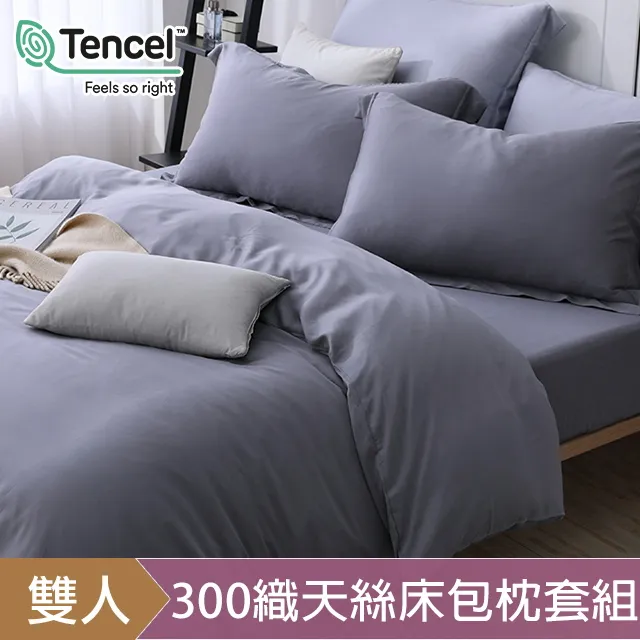 HOYACASA星辰銀 加大四件式60支天絲兩用被床包組 歷史價格詳細信息