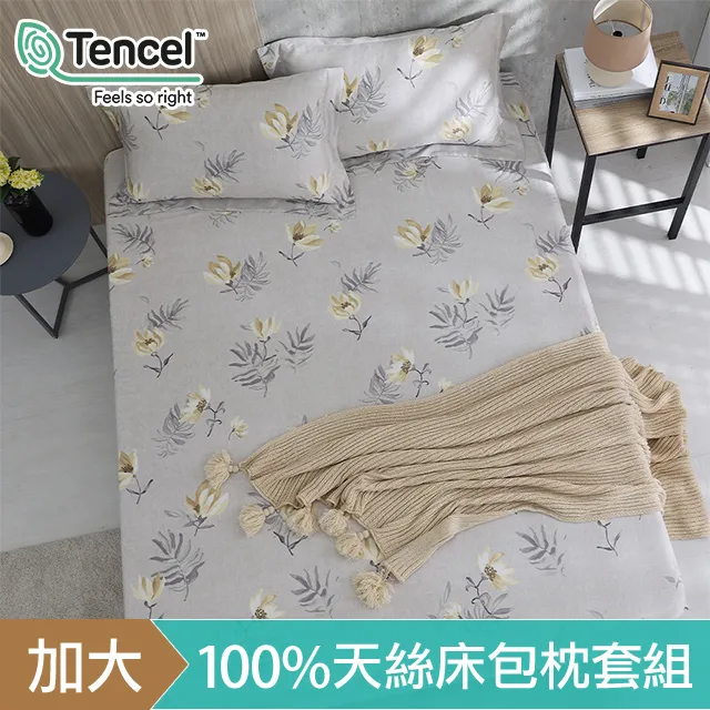 《HOYACASA》加大100%天絲床包枕套三件組-歡樂夥伴 歷史價格詳細信息