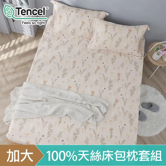 《HOYACASA》加大100%天絲床包枕套三件組-歡樂夥伴 歷史價格詳細信息