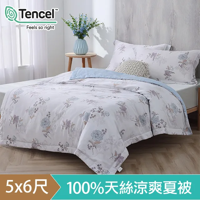 《HOYACASA》初晨葉曲-100%精梳純棉床包枕套三件組-(單人/雙人/加大) 歷史價格詳細信息