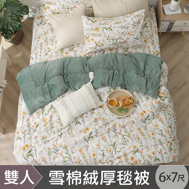 HOYACASA 雪棉絨暖暖厚毯被-艾米利亞(雙人6X7尺) 歷史價格詳細信息