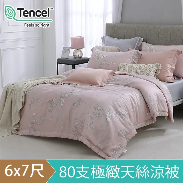 HOYA H Series 雙人80支頂級淨潤透澤天絲涼被-芙羅雅 歷史價格詳細信息