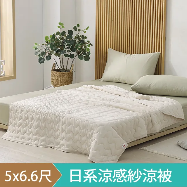DON 涼感釋壓記憶枕(碟型款)-一入 歷史價格詳細信息