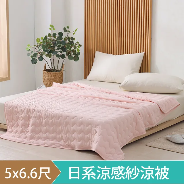 DON 涼感釋壓記憶枕(碟型款)-一入 歷史價格詳細信息