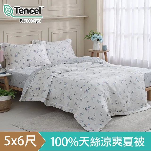 《HOYACASA羅曼花都》四件式抗菌天絲兩用被床包組(單人/雙人/加大/特大) 歷史價格詳細信息