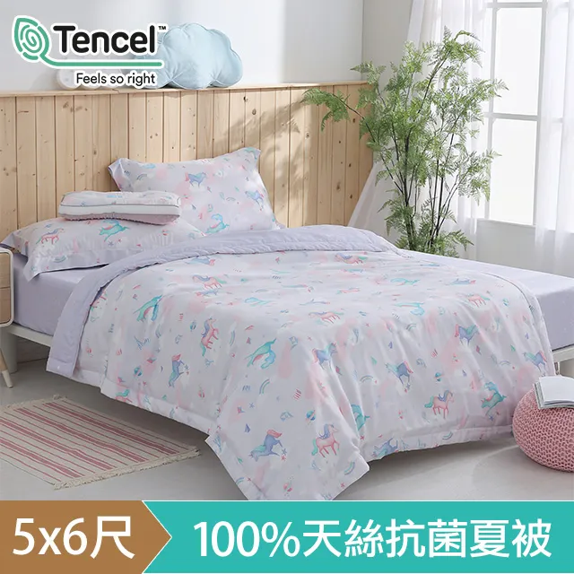 【HOYACASA x wwiinngg聯名系列】溫柔暖粉 300織沐光長絨棉薄被套床包組(雙人/加大/特大)贈羽絲絨被 歷史價格詳細信息