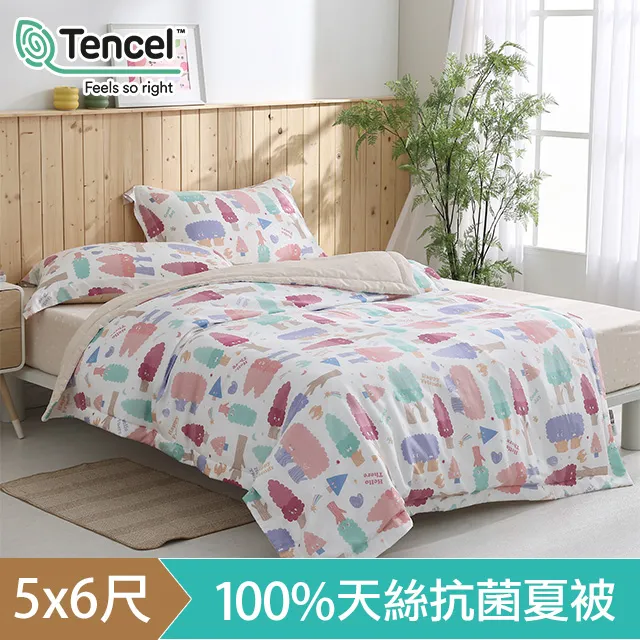 【HOYACASA x wwiinngg聯名系列】溫柔暖粉 300織沐光長絨棉薄被套床包組(雙人/加大/特大)贈羽絲絨被 歷史價格詳細信息