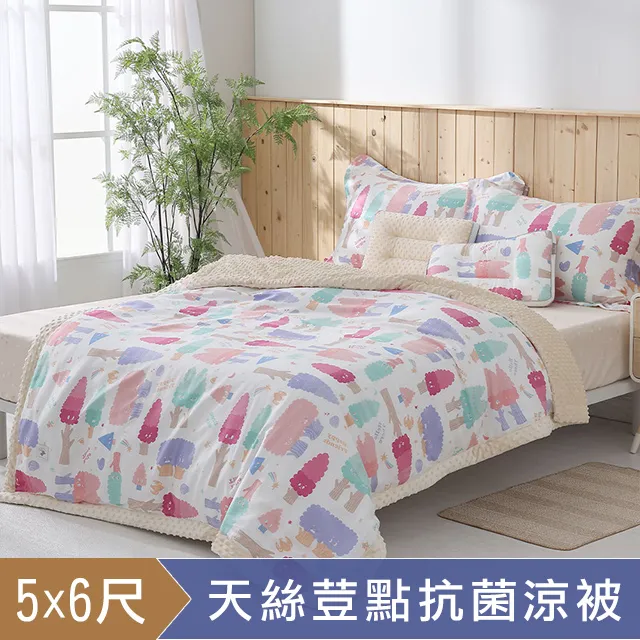 《HOYACASA》繽紛世界-純棉兩用被床包組-天絲入棉30%(單人/雙人/加大) 歷史價格詳細信息