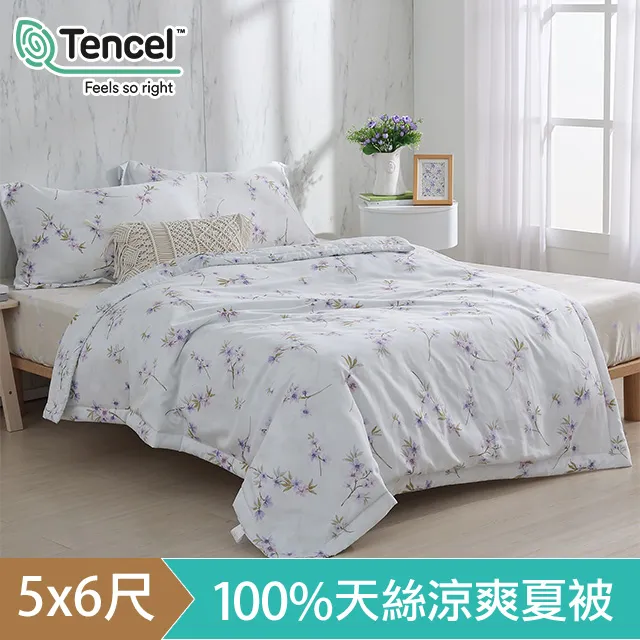 HOYACASA洛妮卡 雙人四件式抗菌天絲兩用被床包組 歷史價格詳細信息