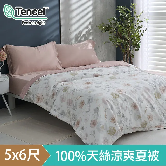 《HOYACASA》英倫時尚-純棉兩用被床包組-天絲入棉30%(單人/雙人/加大) 歷史價格詳細信息