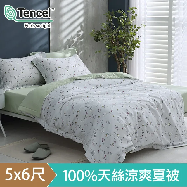 HOYACASA 60支萊賽爾天絲涼被(5x6尺)-多款任選 歷史價格詳細信息