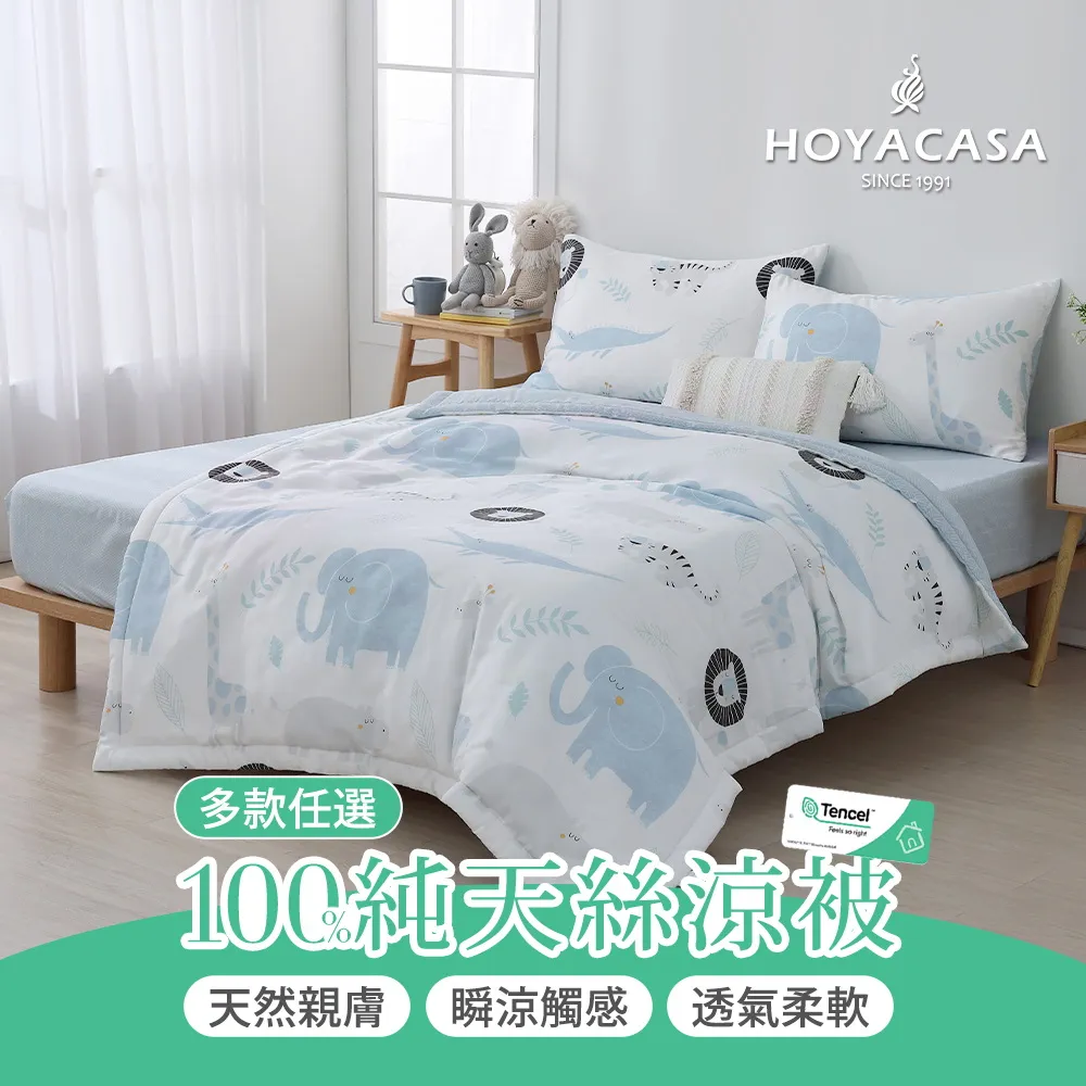 [100%天絲 多款任選] 天絲涼被 純天絲涼被 萊賽爾 100%純天絲涼被 歷史價格詳細信息