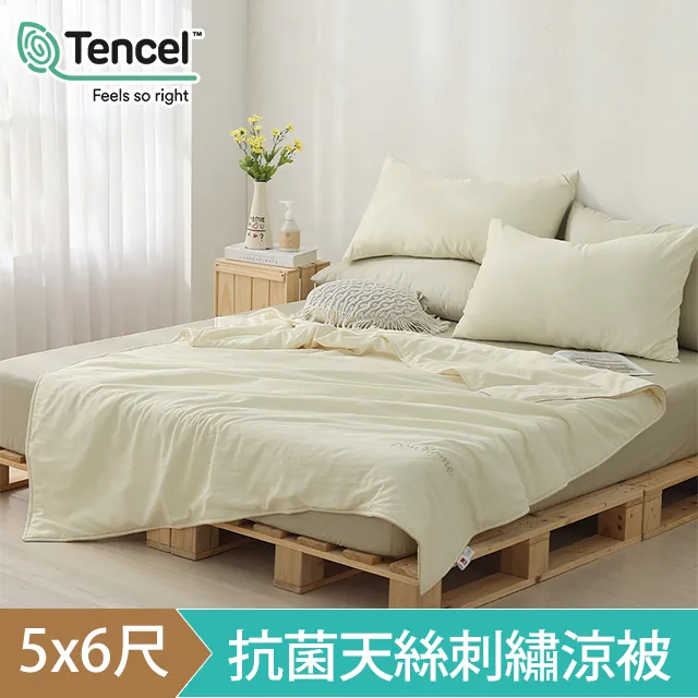 DON 輕美學抗菌天絲刺繡涼被- 奶油黃(5x6尺) 歷史價格詳細信息