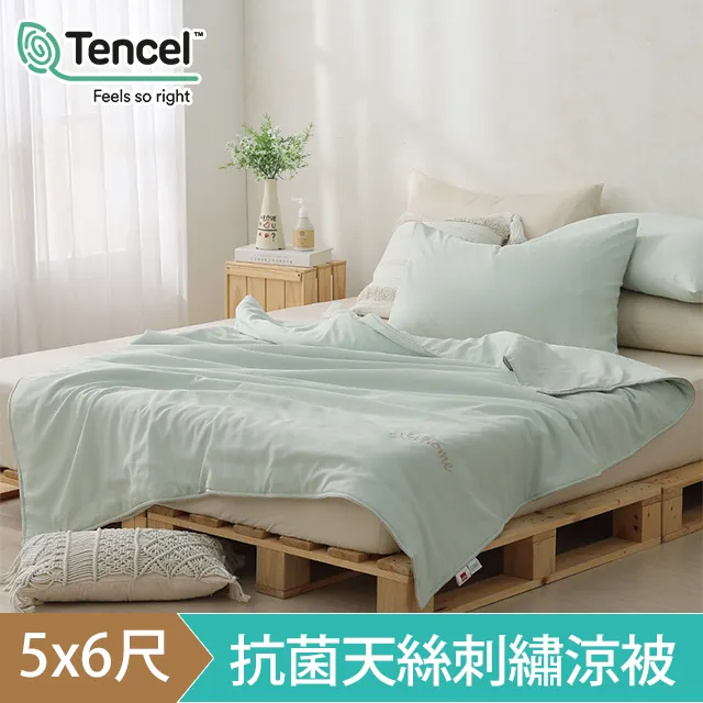 DON 輕美學抗菌天絲刺繡涼被- 奶油黃(5x6尺) 歷史價格詳細信息