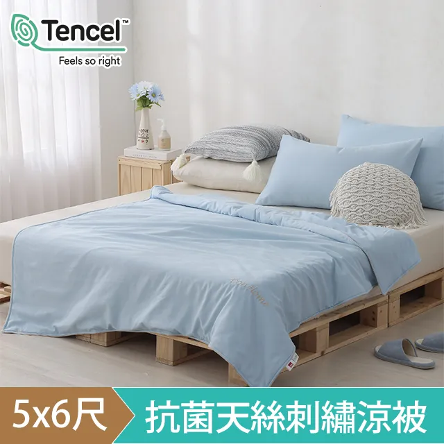 DON 輕美學抗菌天絲刺繡涼被- 奶油黃(5x6尺) 歷史價格詳細信息