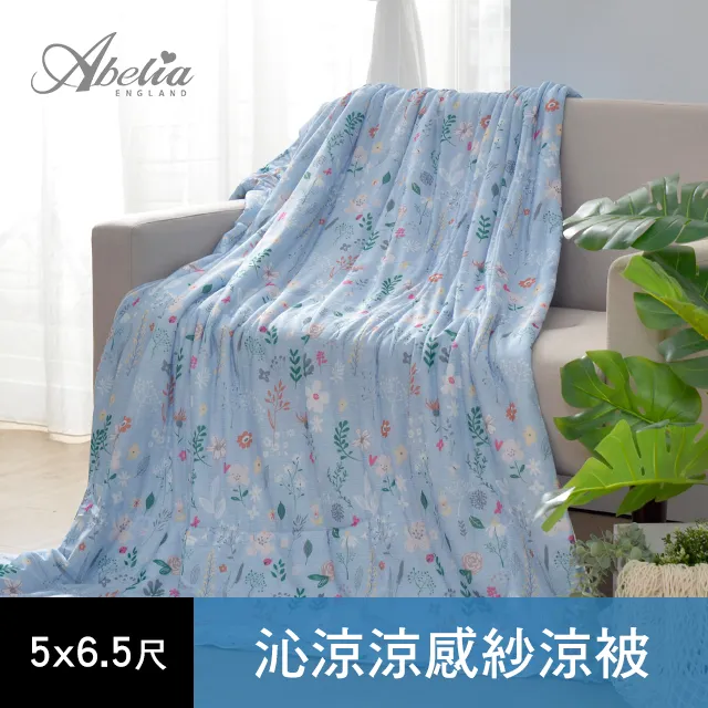 沁涼夏季涼被 雙人150×200cm 涼感被 空調被 涼被 薄被 歷史價格詳細信息