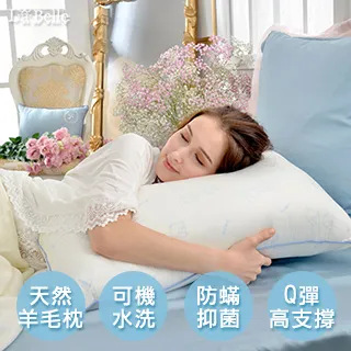 舒眠羊毛氈可拆式多用喵星人貓窩(兩色可選) 歷史價格詳細信息