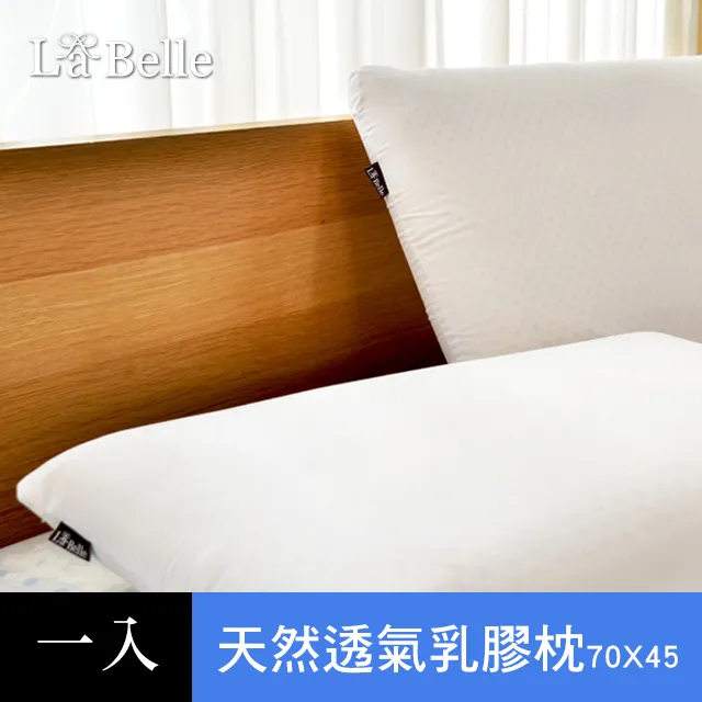 義大利La Belle《透氣舒眠四孔枕》一入 歷史價格詳細信息