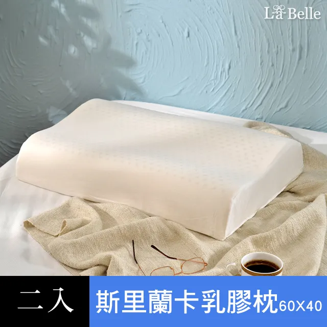 義大利La Belle《透氣舒眠四孔枕》一入 歷史價格詳細信息