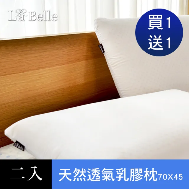 義大利La Belle《透氣舒眠四孔枕》一入 歷史價格詳細信息