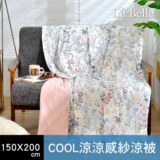 《四季春氛》超COOL超涼感信封枕套--2入 歷史價格詳細信息