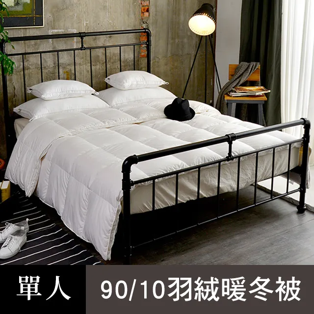 【義大利La Belle】法國 立體車邊 天然水鳥 羽毛枕 (75x45cm)｜枕頭 歷史價格詳細信息