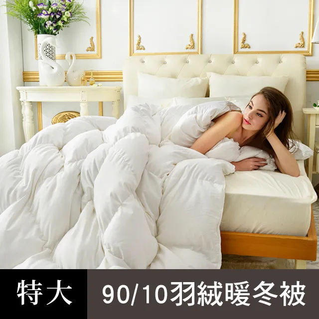 【義大利La Belle】法國 立體車邊 天然水鳥 羽毛枕 (75x45cm)｜枕頭 歷史價格詳細信息