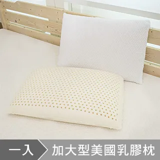 澳洲Simple Living 加大型美國天然透氣乳膠枕-一入 歷史價格詳細信息