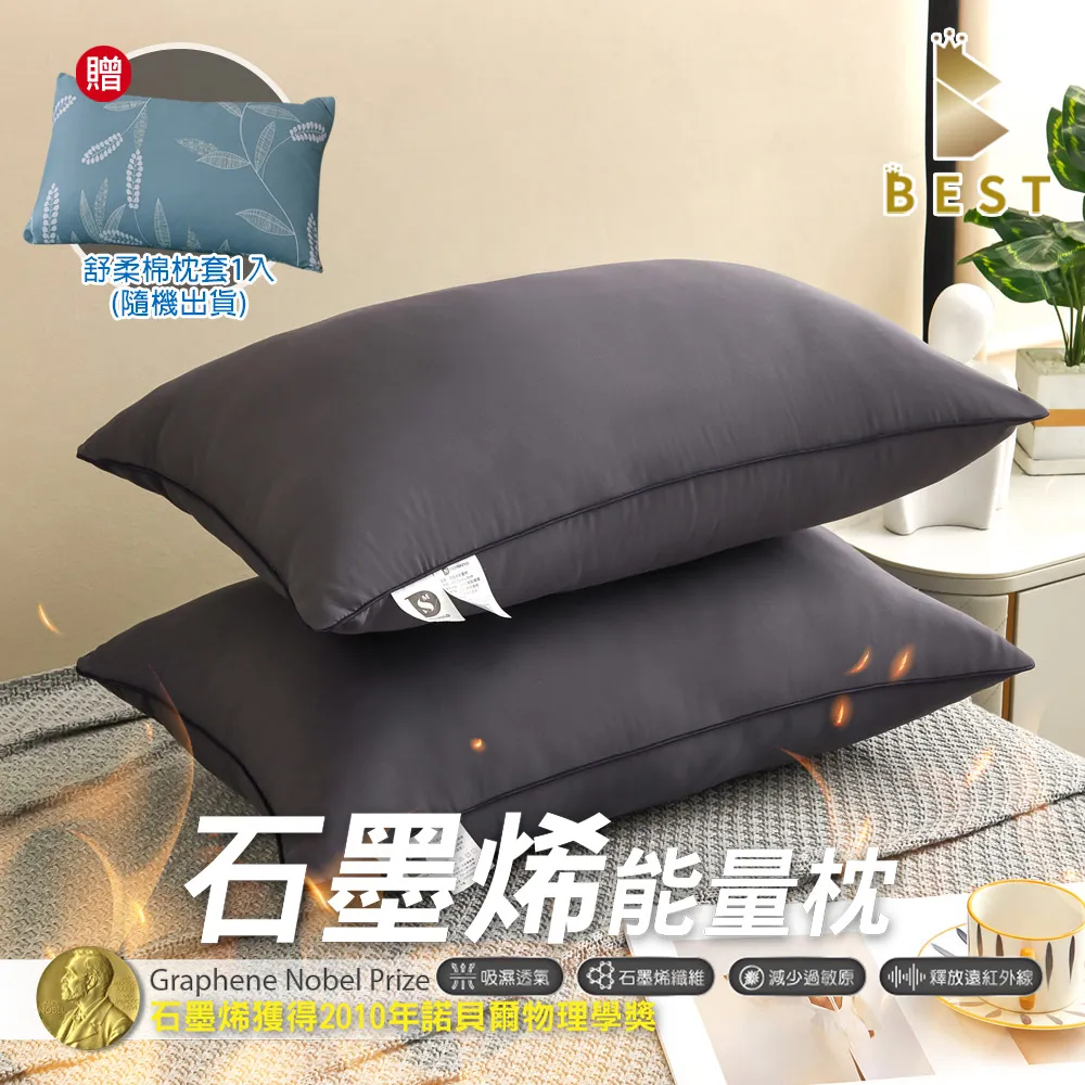 【BEST貝思特】石墨烯防潑水透氣枕頭保潔墊 買一送一 2組(4入) 鋪棉加厚枕頭套 歷史價格詳細信息